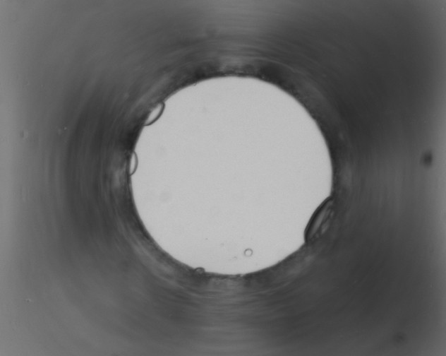 X0000115840914200912242013