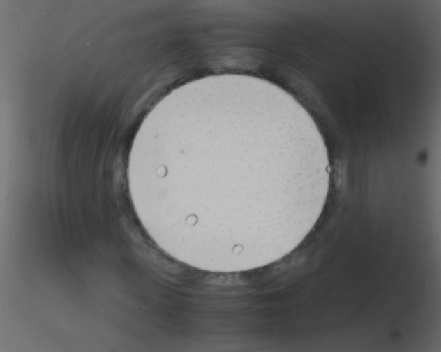 X0000115840915200912242013