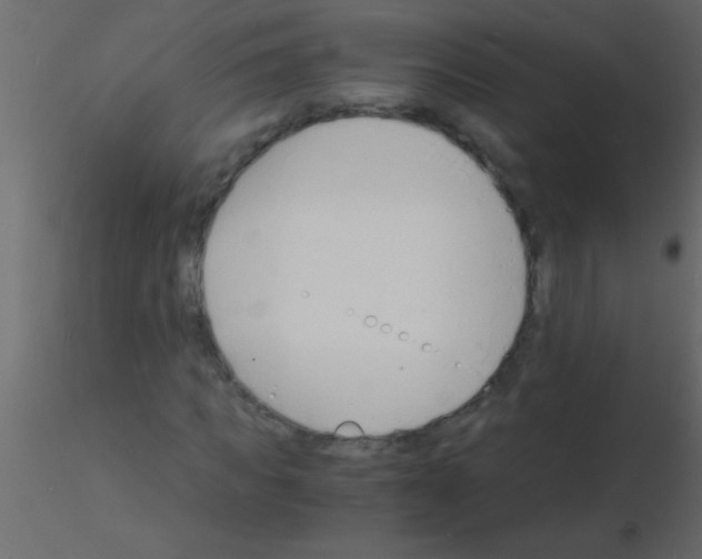 X0000115840917200912242013