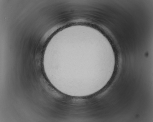 X0000115840921200912242013