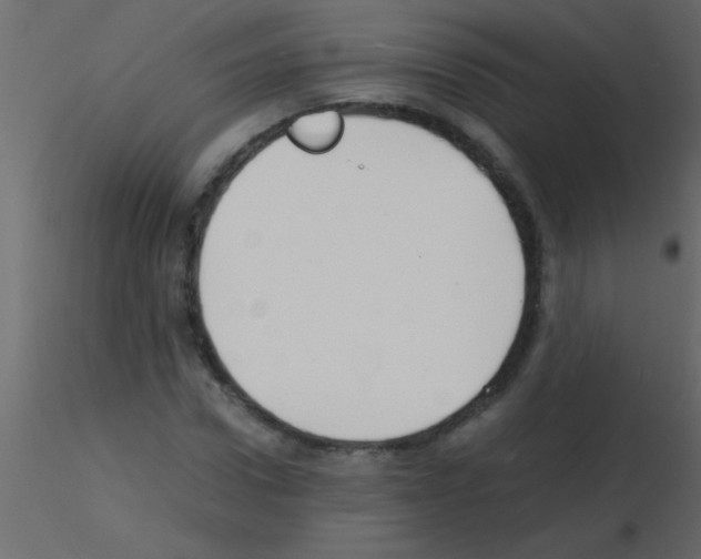 X0000115840922200912242013