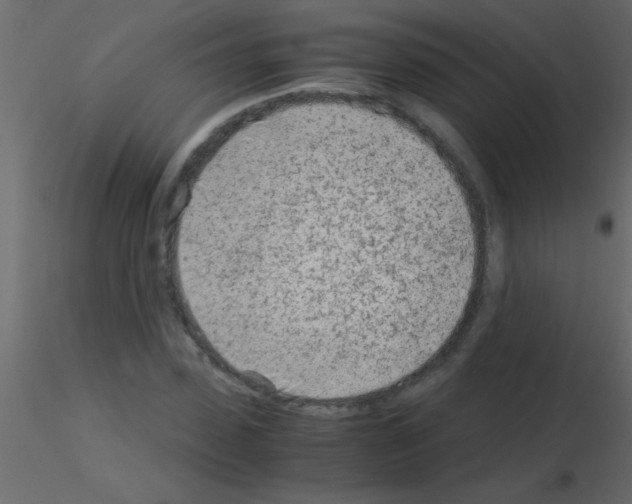 X0000115840923200912242013