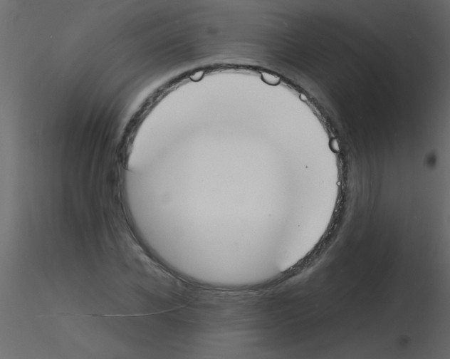 X0000115840926200912242014