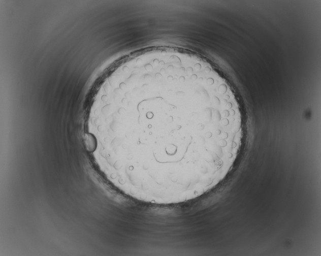 X0000115840931200912242014