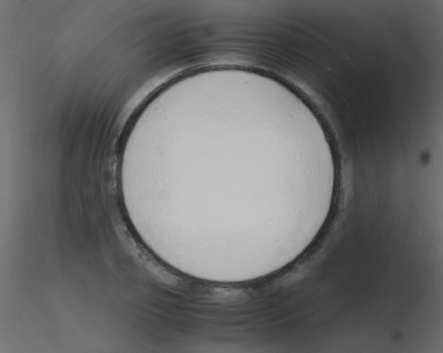 X0000115840933200912242014