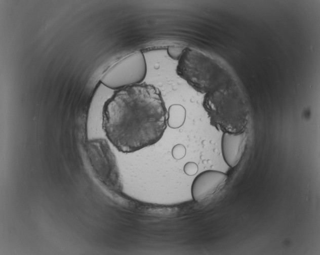 X0000115840937200912242014