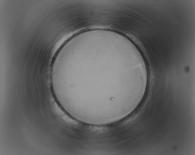 X0000115840941200912242014