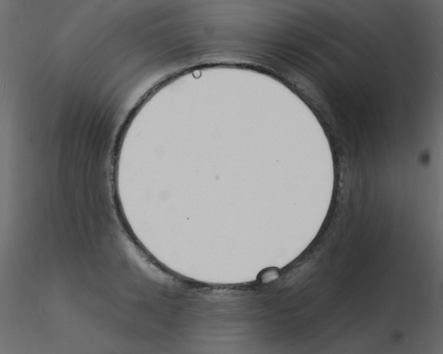 X0000115840942200912242014