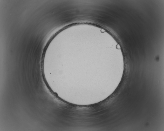 X0000115840943200912242014