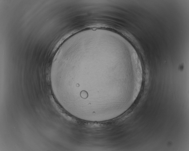 X0000115840945200912242014