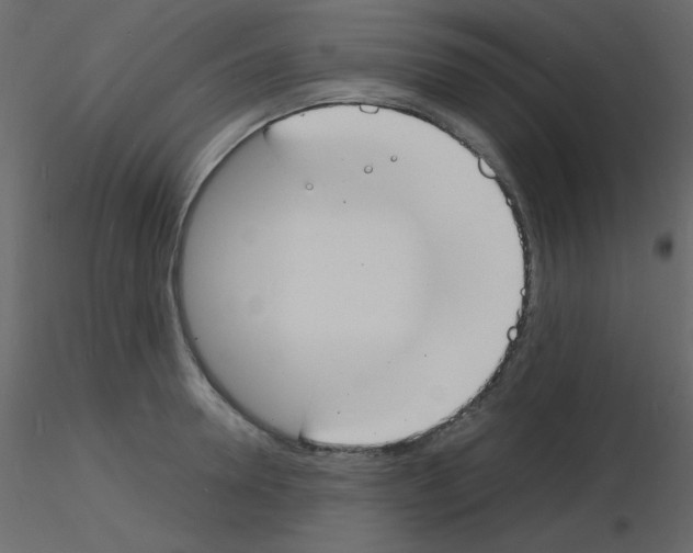 X0000115840946200912242014