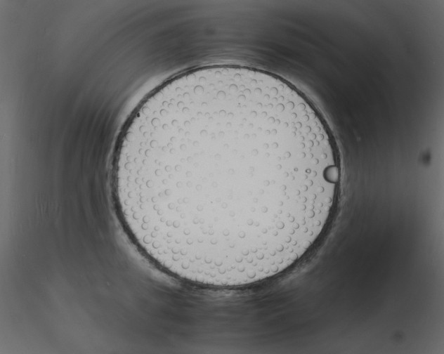 X0000115840949200912242014