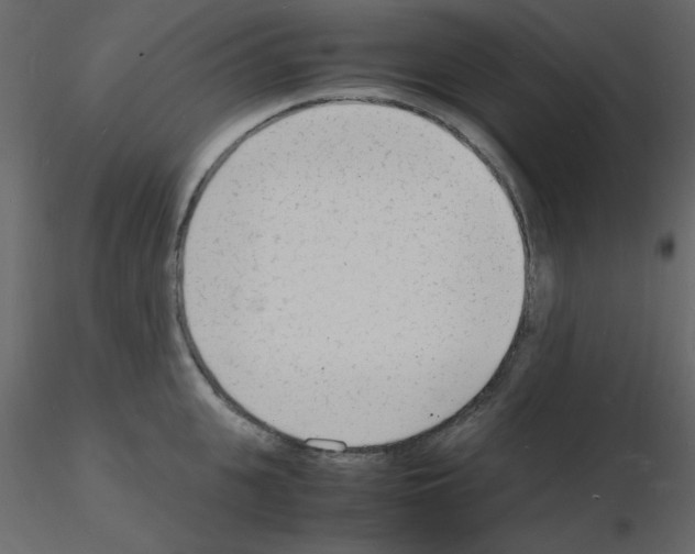 X0000115840951200912242014