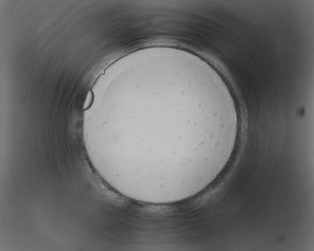 X0000115840953200912242014