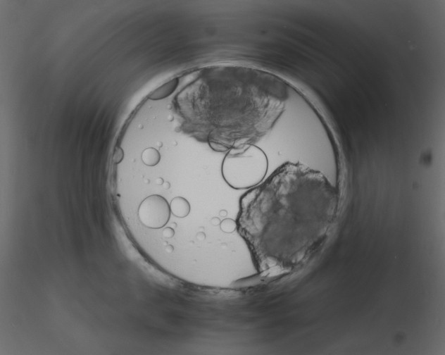 X0000115840957200912242014