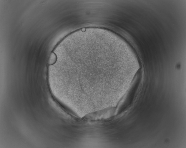 X0000115840958200912242014