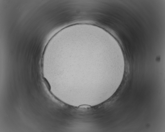 X0000115840959200912242014