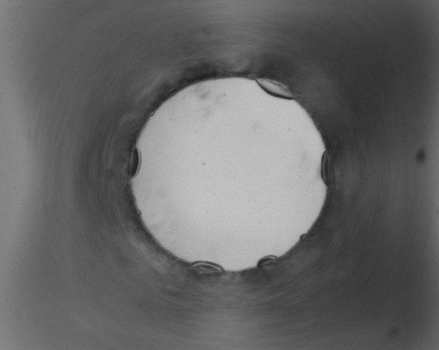 X0000115840961200912242013