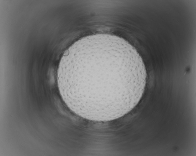 X0000115840962200912242013