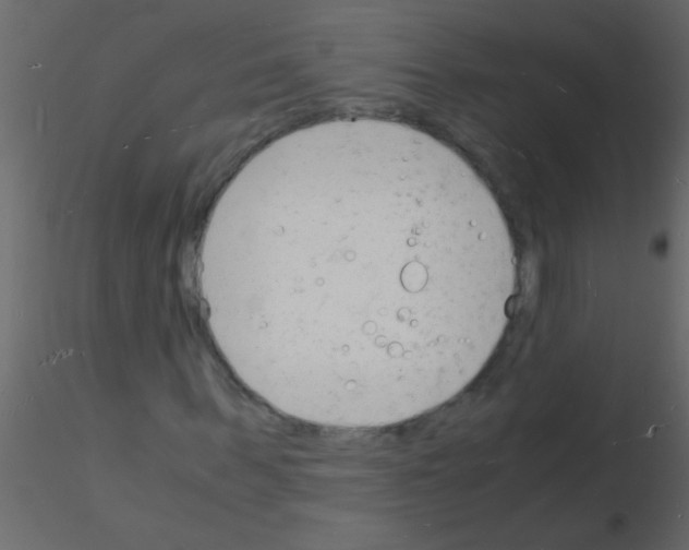 X0000115840963200912242013