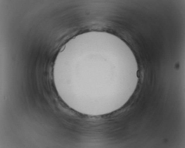 X0000115840964200912242013