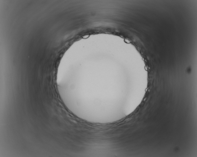 X0000115840965200912242013