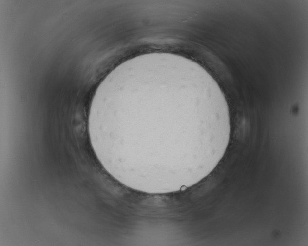 X0000115840966200912242013