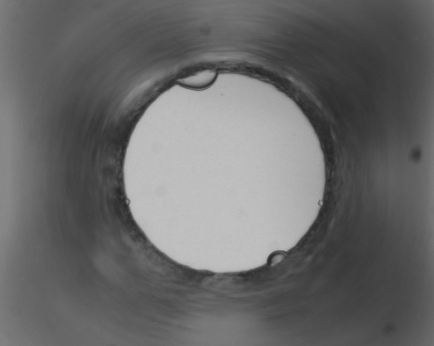 X0000115840967200912242013