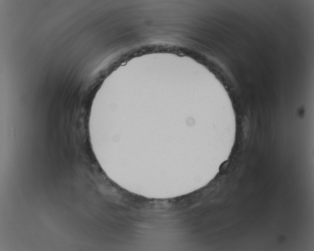 X0000115840968200912242013