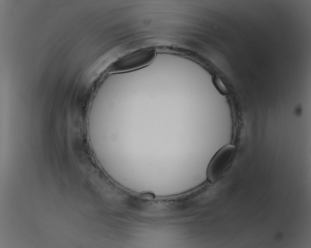 X0000115840969200912242013