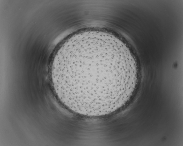 X0000115840970200912242013