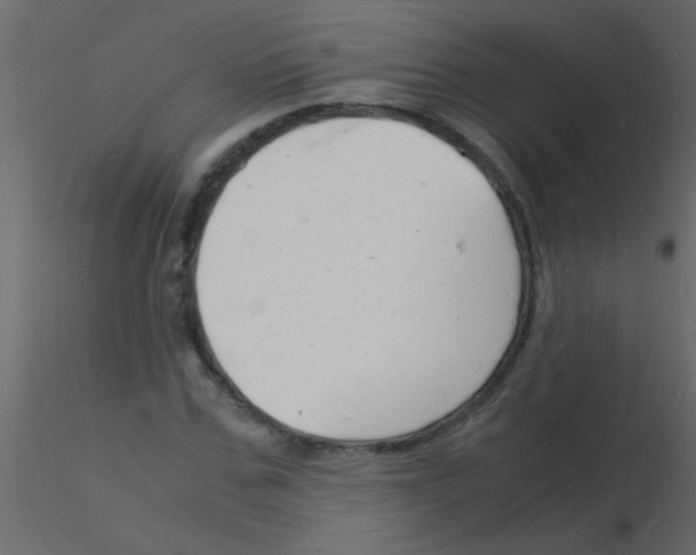 X0000115840971200912242013