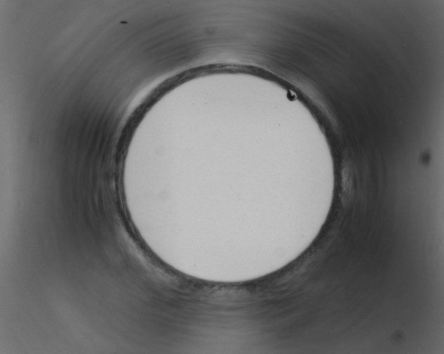 X0000115840972200912242013