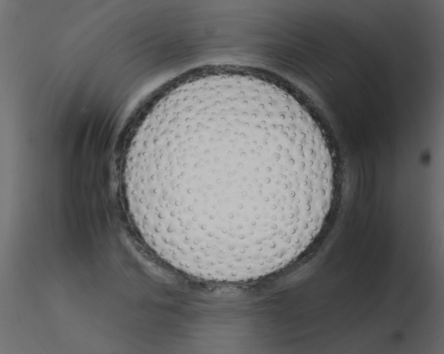 X0000115840974200912242013