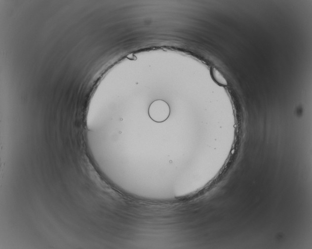 X0000115840977200912242013