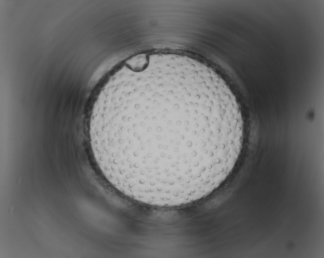 X0000115840978200912242013