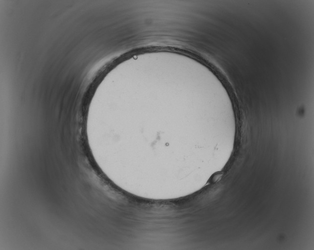 X0000115840979200912242013