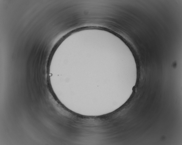 X0000115840980200912242013