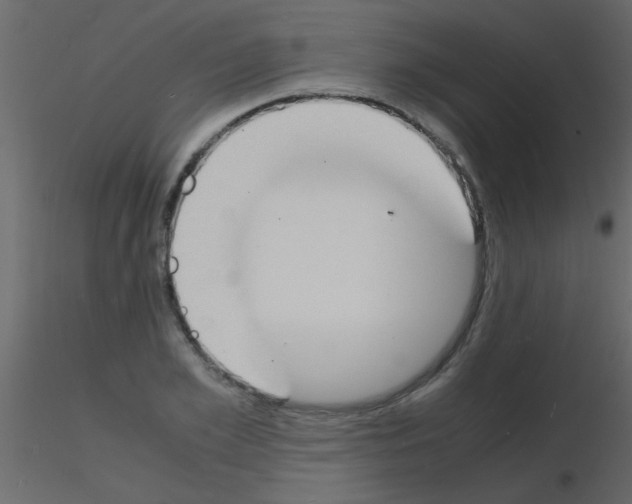 X0000115840981200912242013