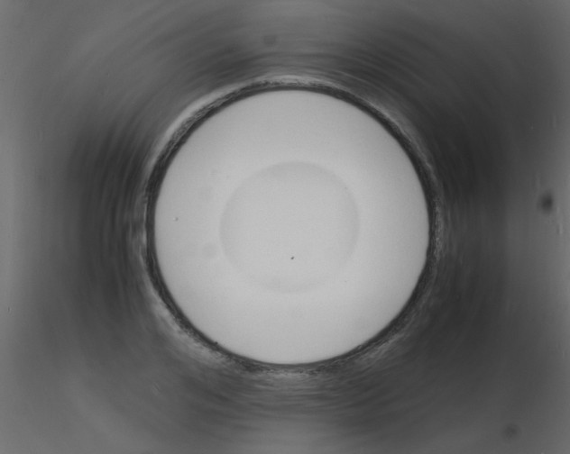 X0000115840984200912242013