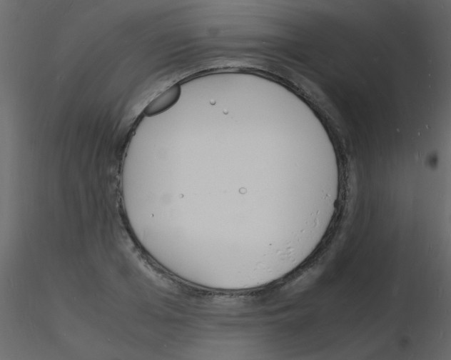 X0000115840985200912242013