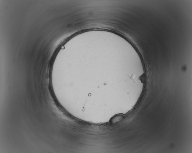 X0000115840987200912242013