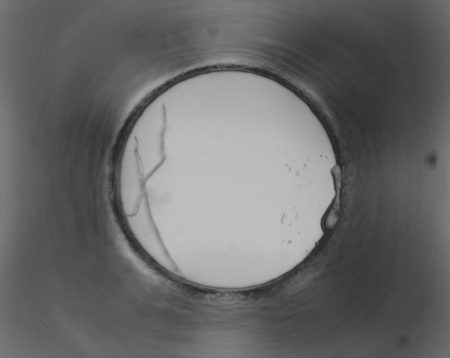 X0000115840991200912242013