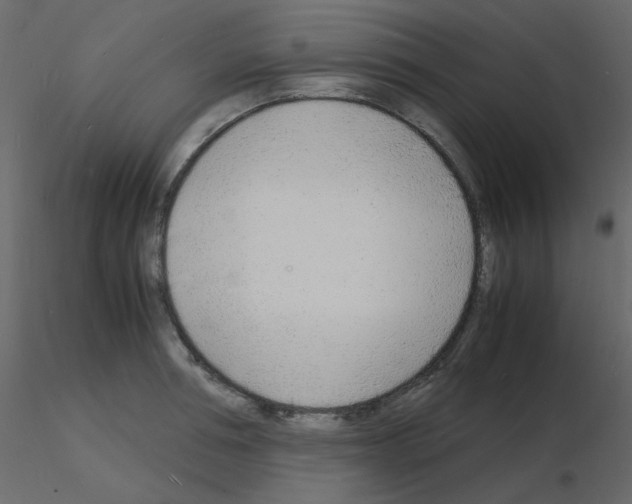 X0000115840994200912242013