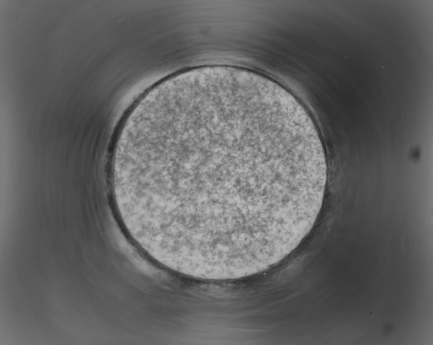 X0000115840995200912242013