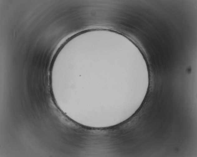 X0000115840996200912242013