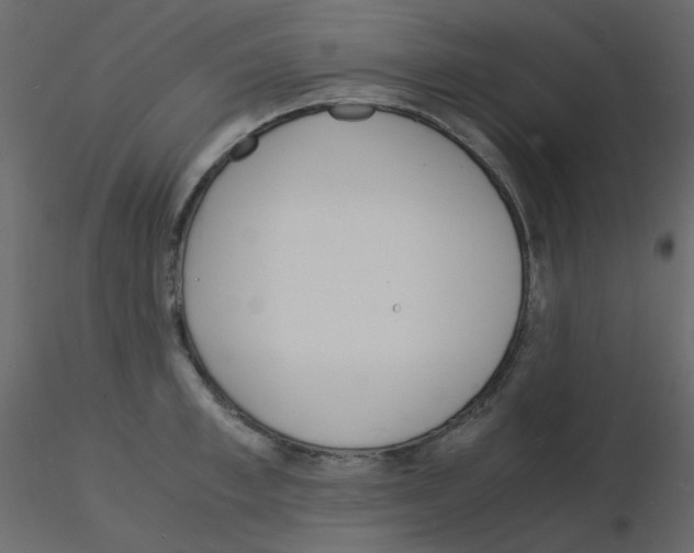 X0000115840997200912242013