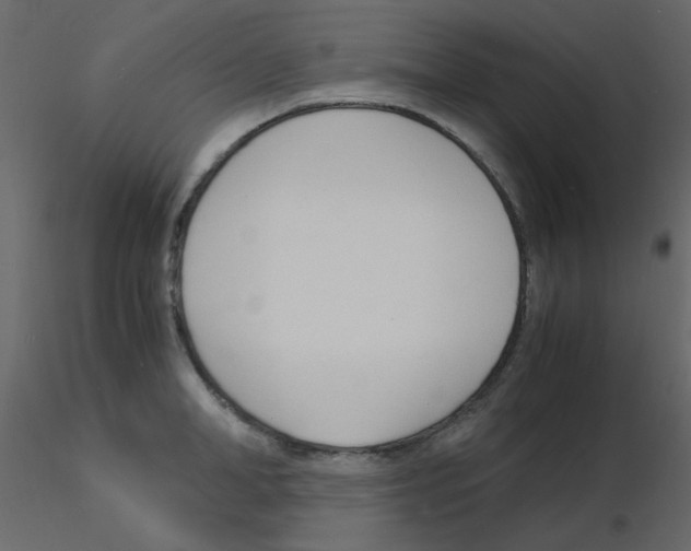 X0000115840998200912242013