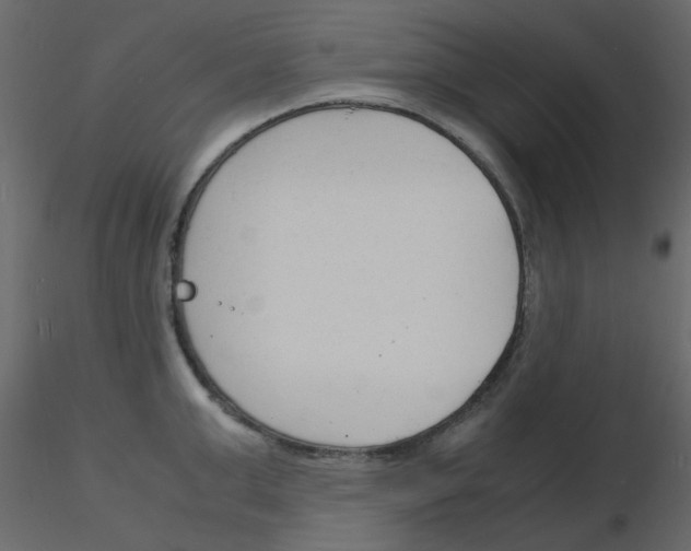 X0000115840999200912242013