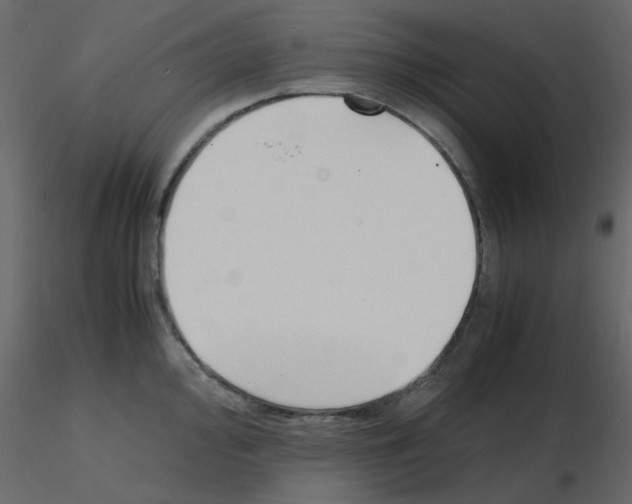 X0000115841000200912242013